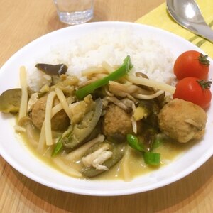 ペーストを使って簡単♪本格グリーンカレー＋＋